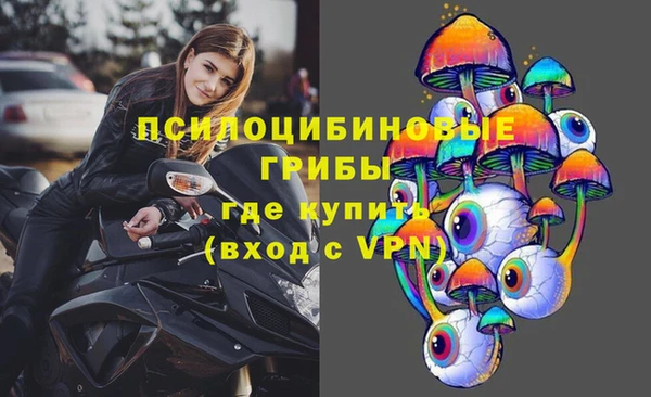 МДПВ Богородицк