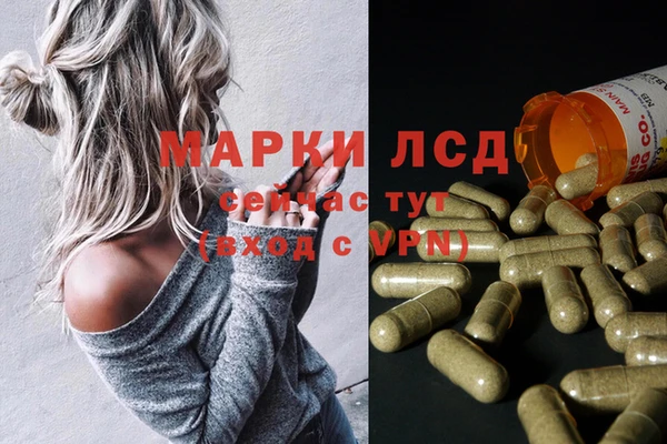 спиды Волосово