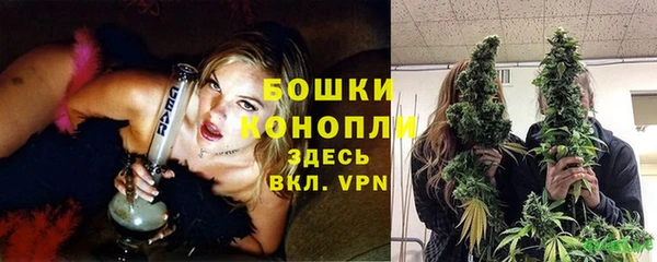 сатива Богородск