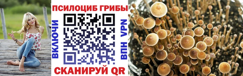 mega как зайти  закладки  Псков  Галлюциногенные грибы Psilocybe 
